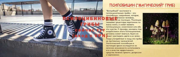 хмурый Алексин
